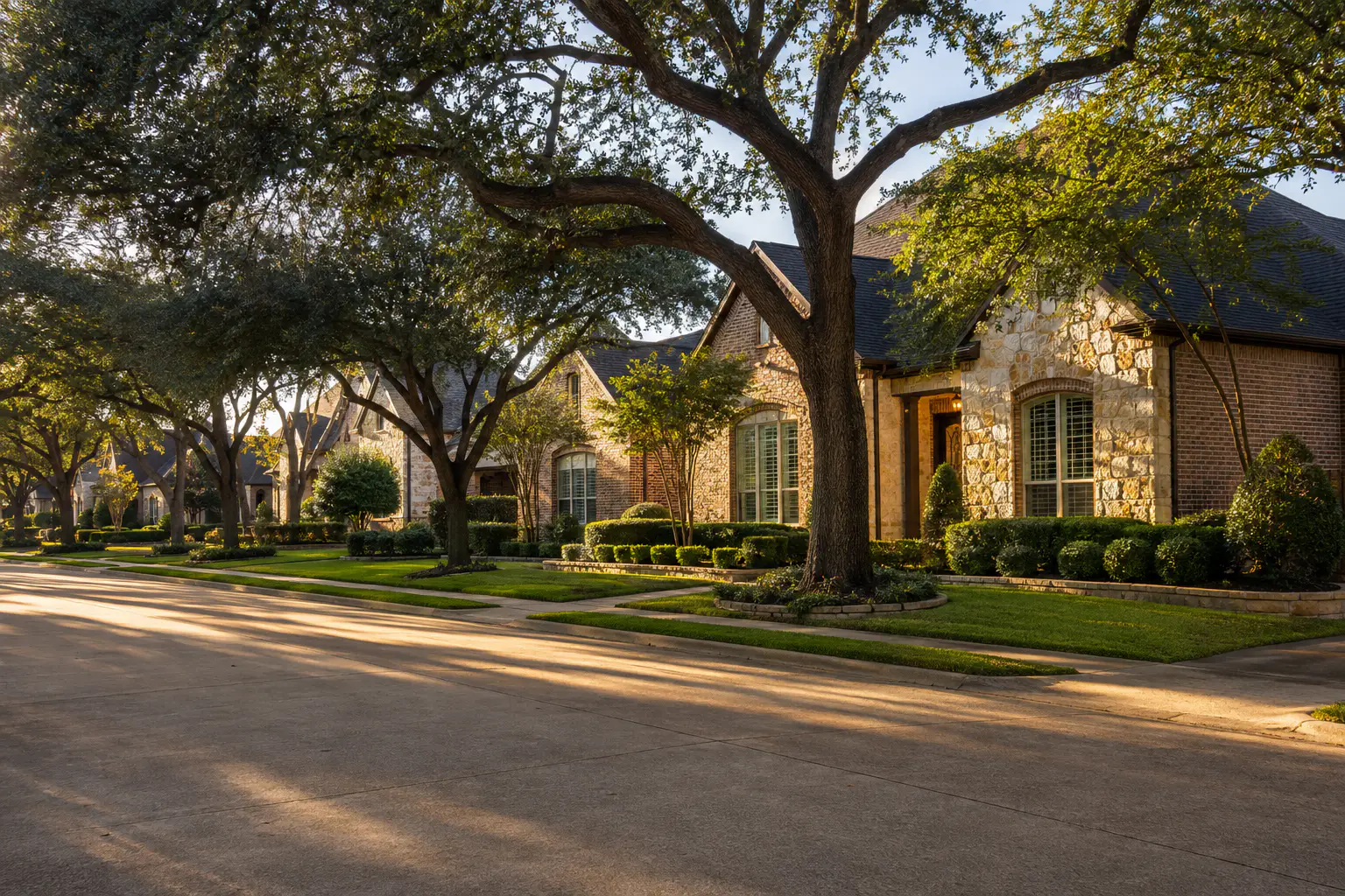 Established tree-lined street in Katy with refined brick and stone homes under mature oaks